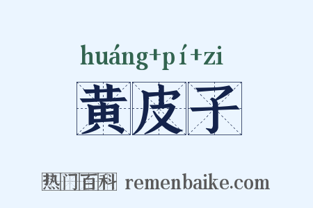 黄皮子是什么意思的图片